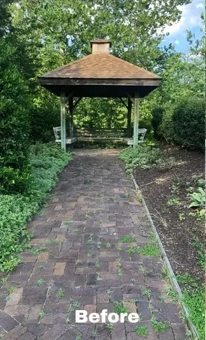 Gazebo Project Gazebo Project