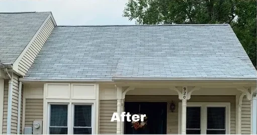 Roof Roof