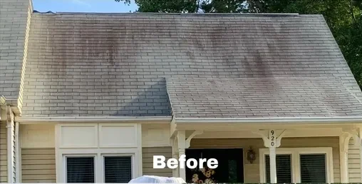 Roof Roof